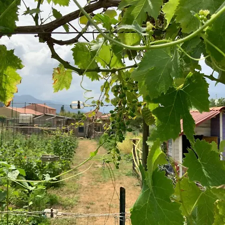 Bed and breakfast D'hotes Arcenciel